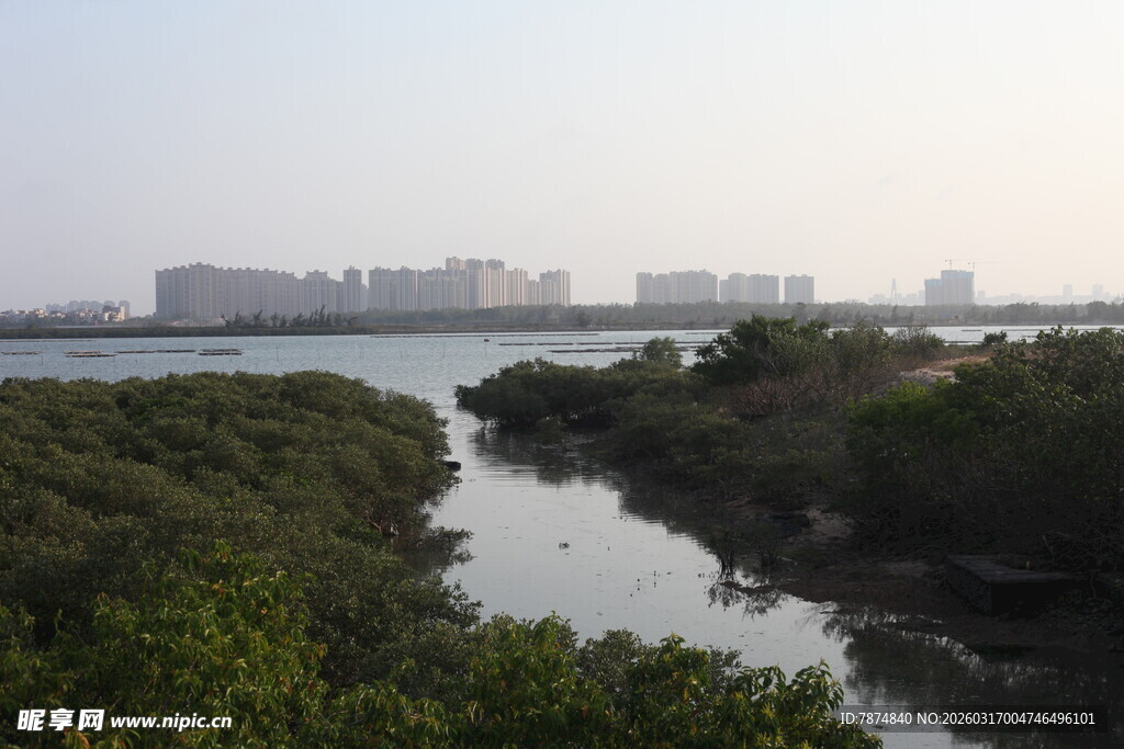 河畔绿植环绕的城市景观