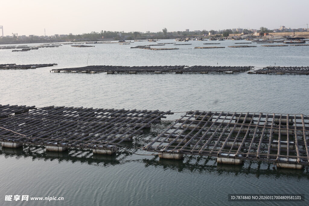 海上养殖区俯瞰