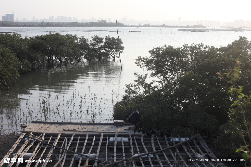 水边木栈道与繁茂植被