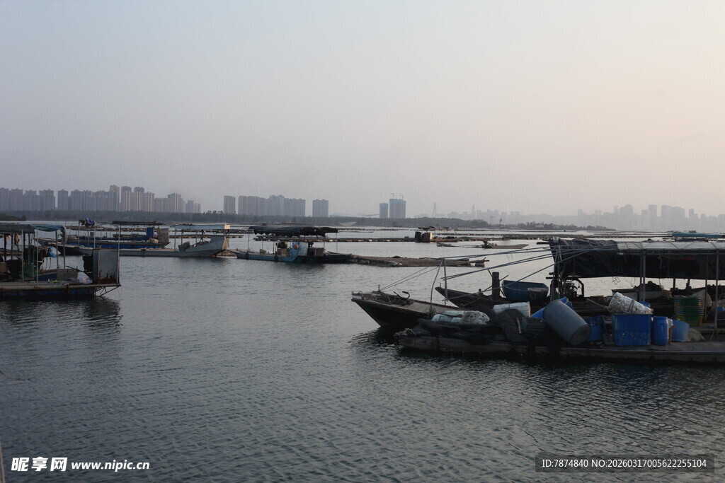 海港停泊的船只景象