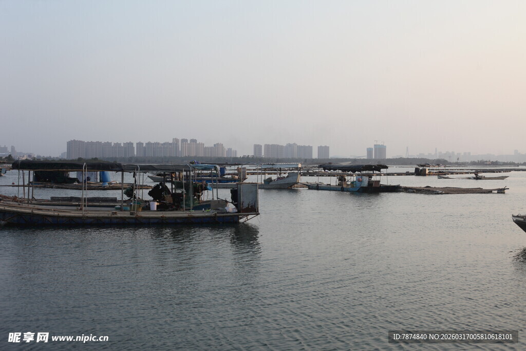 宁静海港的船只停泊景象