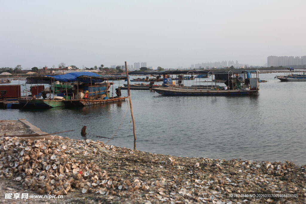 宁静港湾中的停泊船只