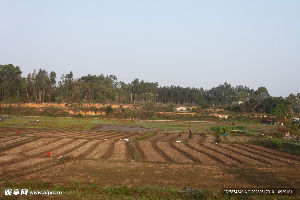 田野农田风光画面