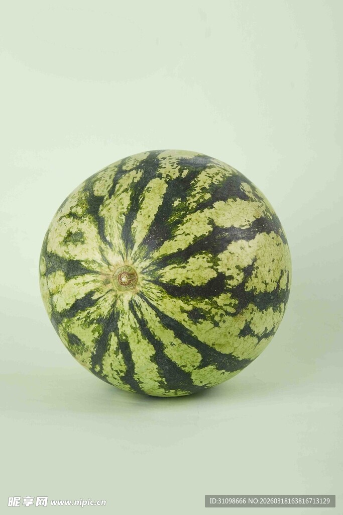 条纹西瓜特写