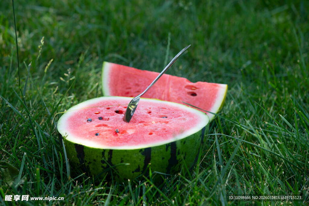草地上的西瓜切片