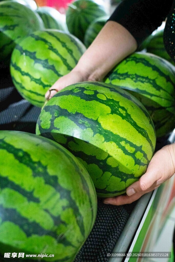新鲜西瓜