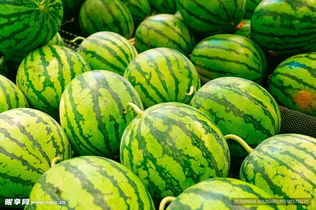 新鲜饱满的堆垒西瓜