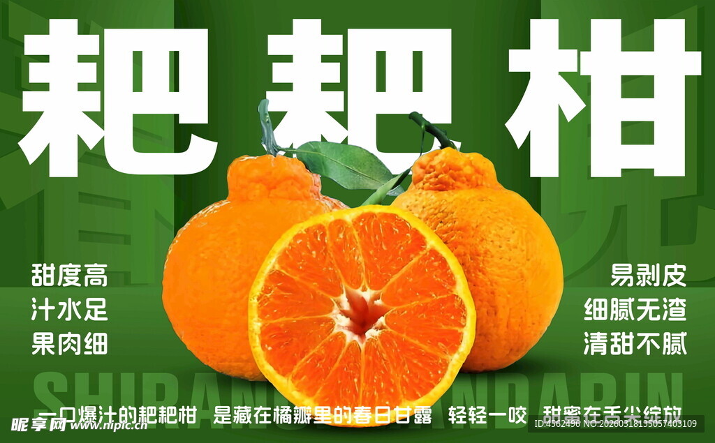 新鲜耙耙柑诱人展示