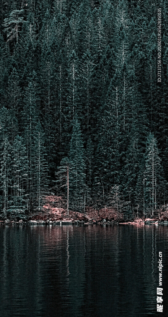 静谧湖畔森林美景