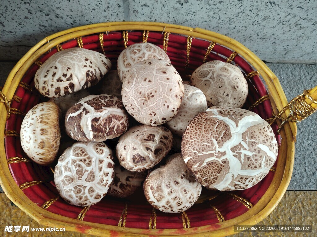 竹篮中的新鲜花菇