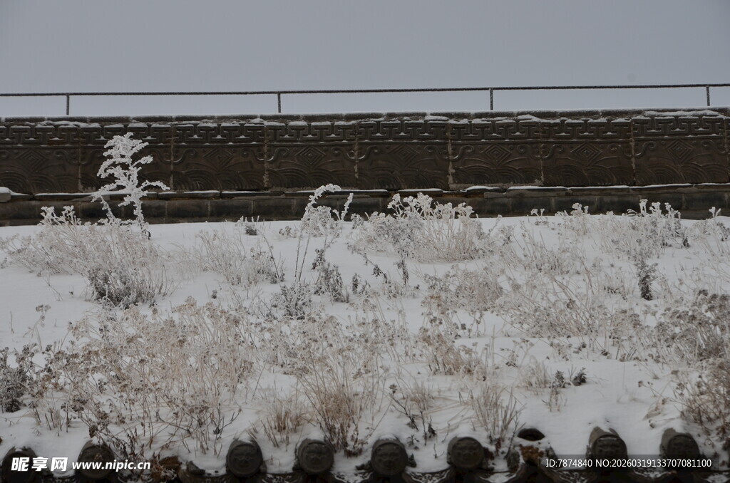 雪覆草地 冬日萧瑟景致