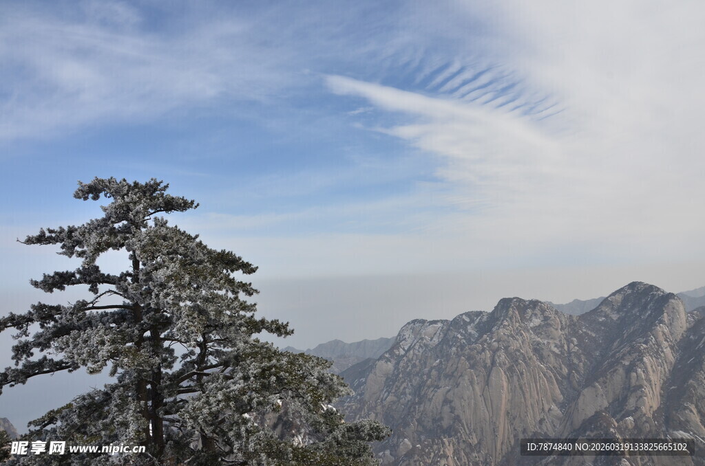 华山之巅的孤松与远山