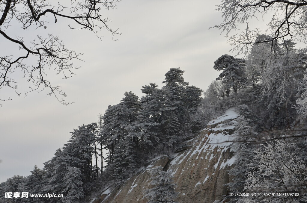 雪覆山林 峭壁孤树景致