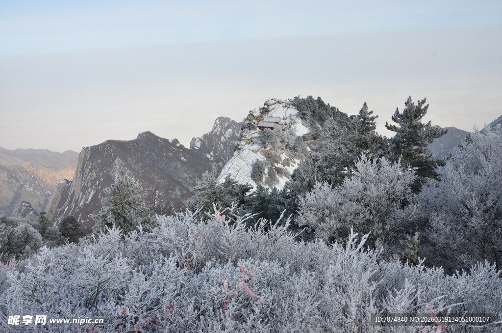 冬日雾凇覆盖的山林美景