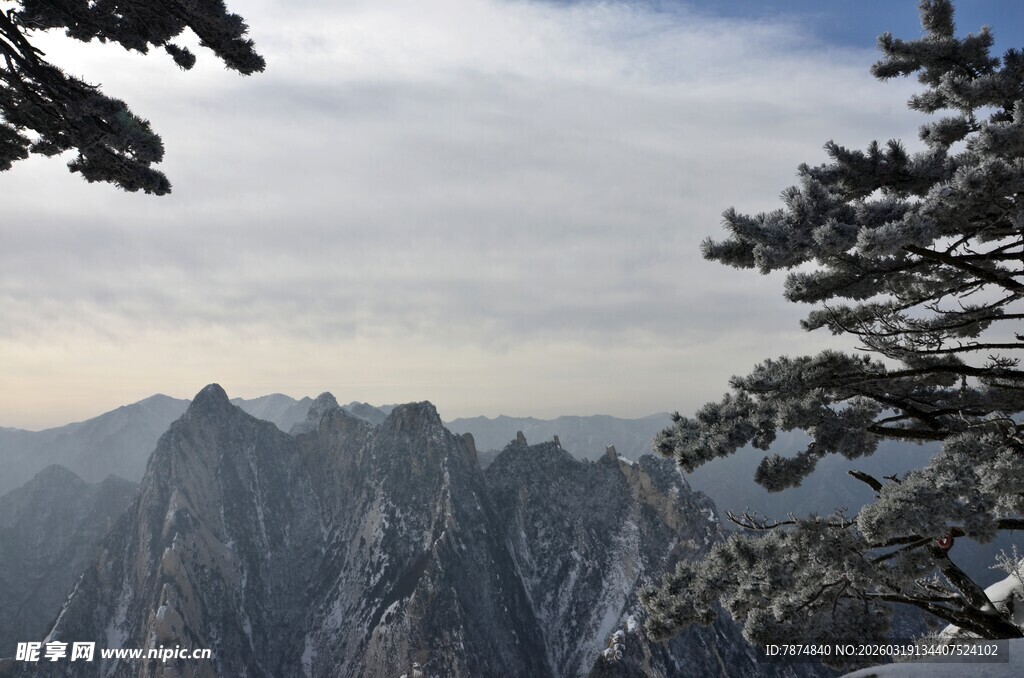 黄山奇峰与松景