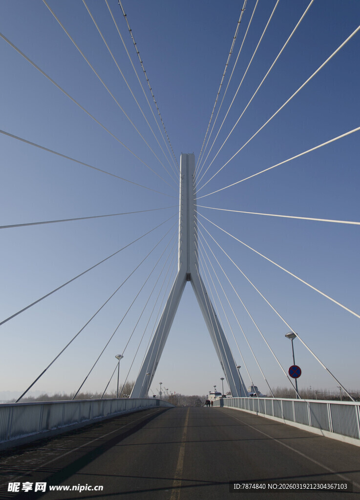 现代斜拉桥的壮观景象