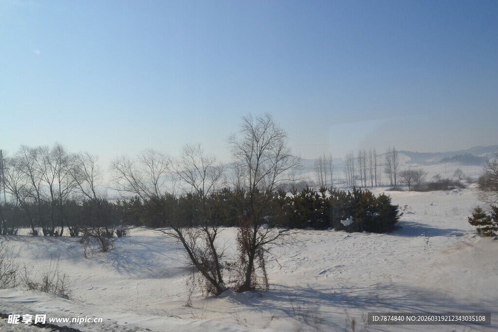 冬日雪地树木风景图