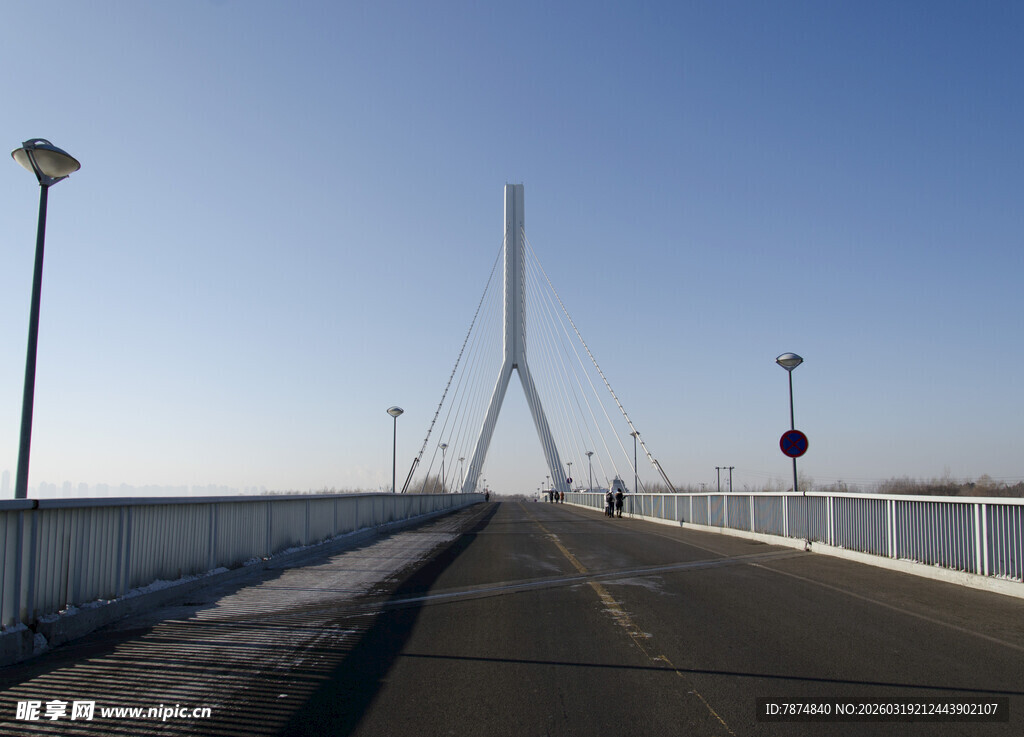 现代斜拉桥风景