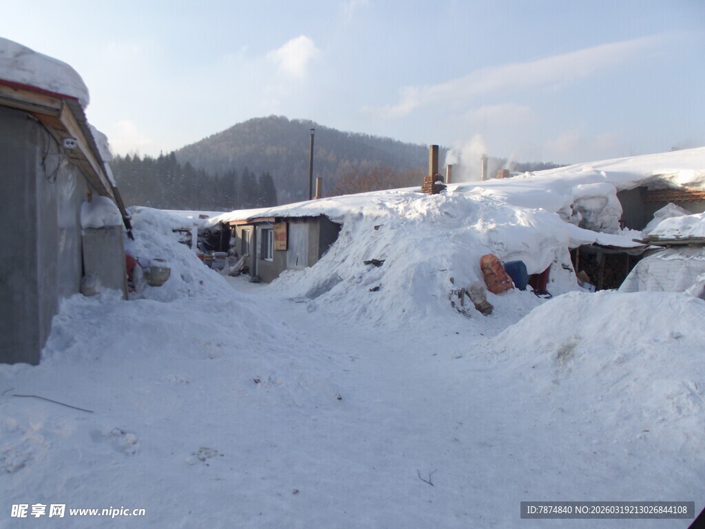 雪覆盖的乡村冬日景象