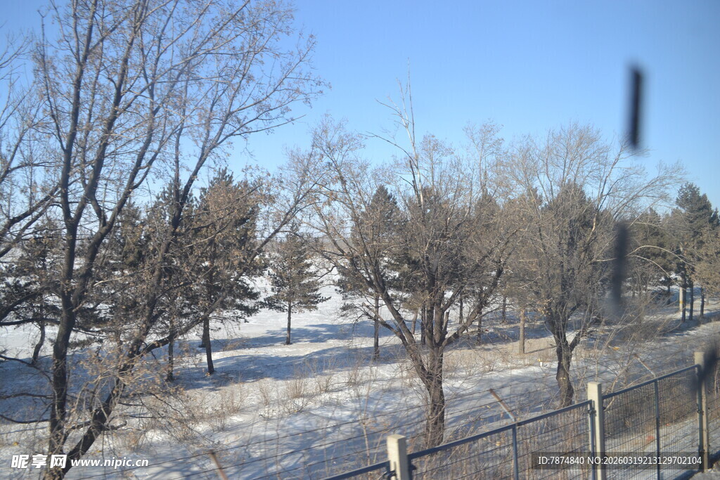 冬日雪景中的树木与围栏