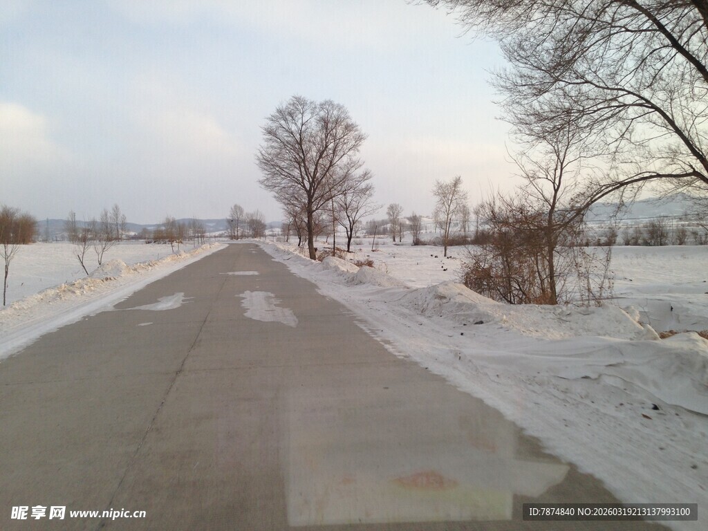 冬日雪覆小路静谧景象