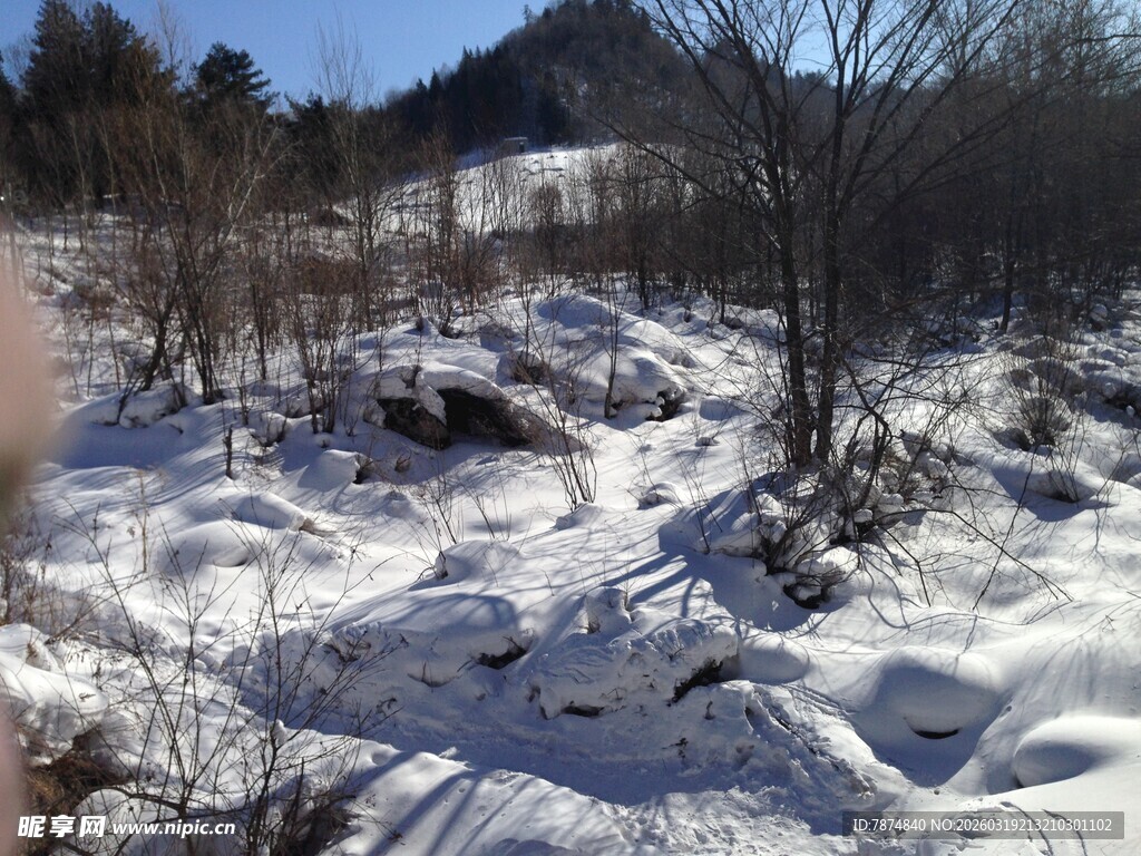 冬日雪覆溪流山林图景