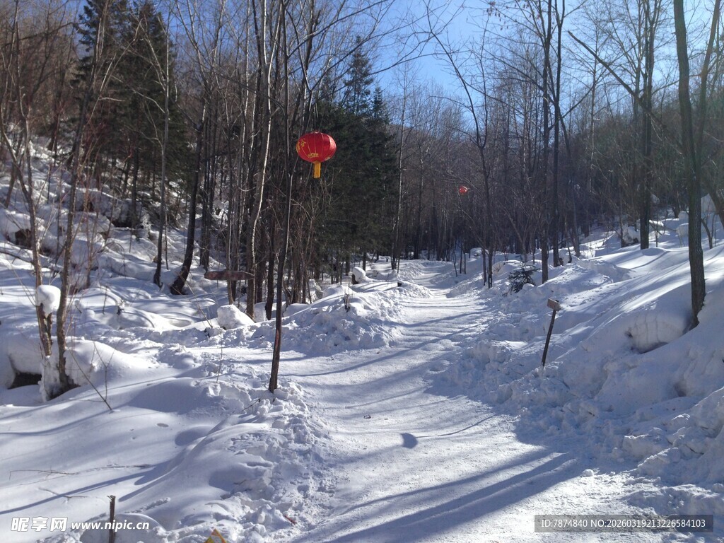 冬日雪林中小径