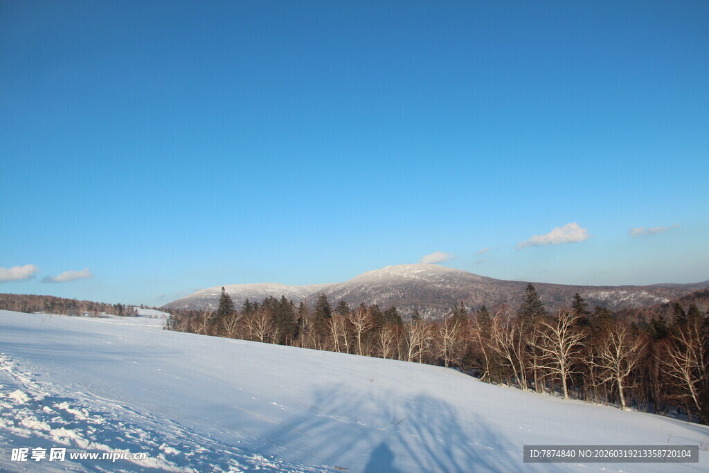 冬日雪野风光