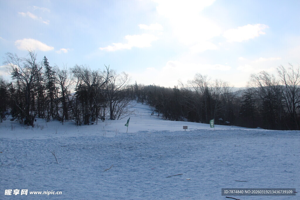冬日雪野风景