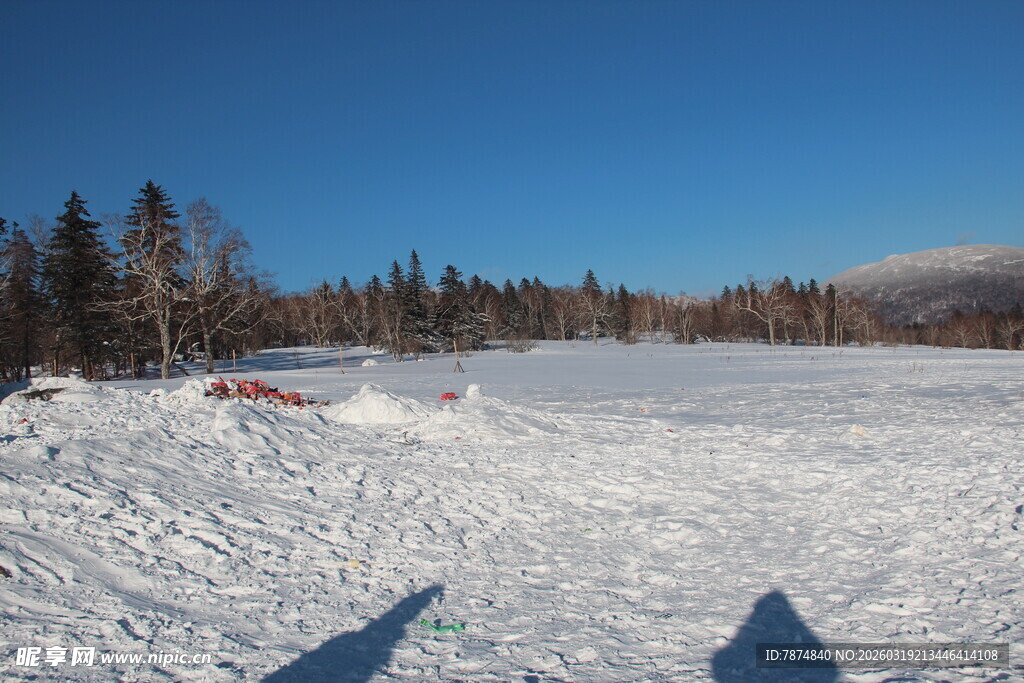 冬日雪地与远处树林景观