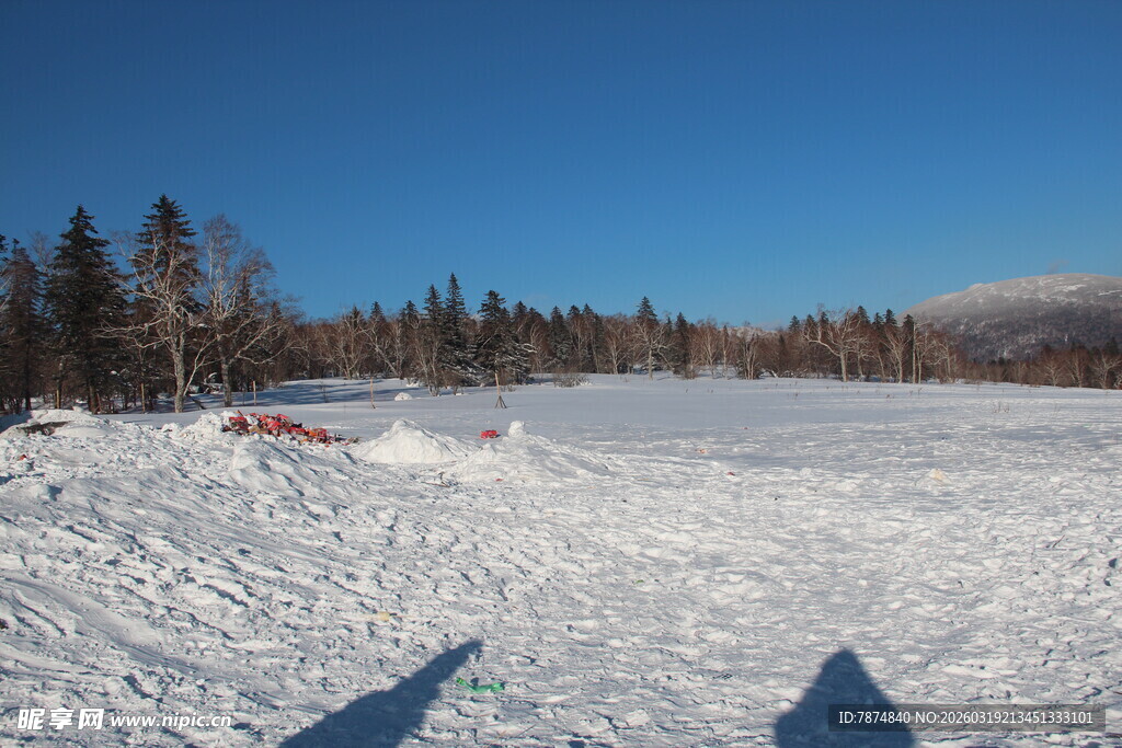 冬日雪野风光