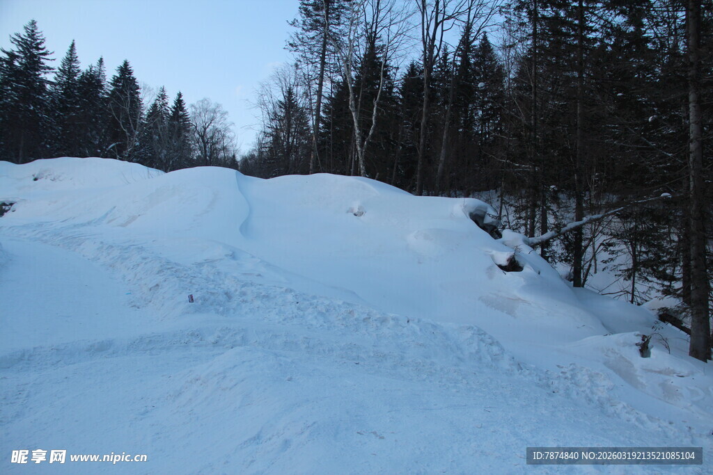 冬日雪林小道