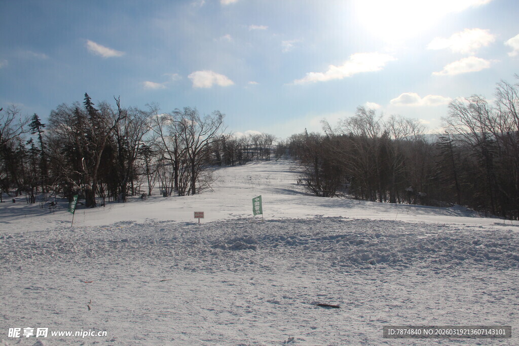冬日雪景中的开阔雪地