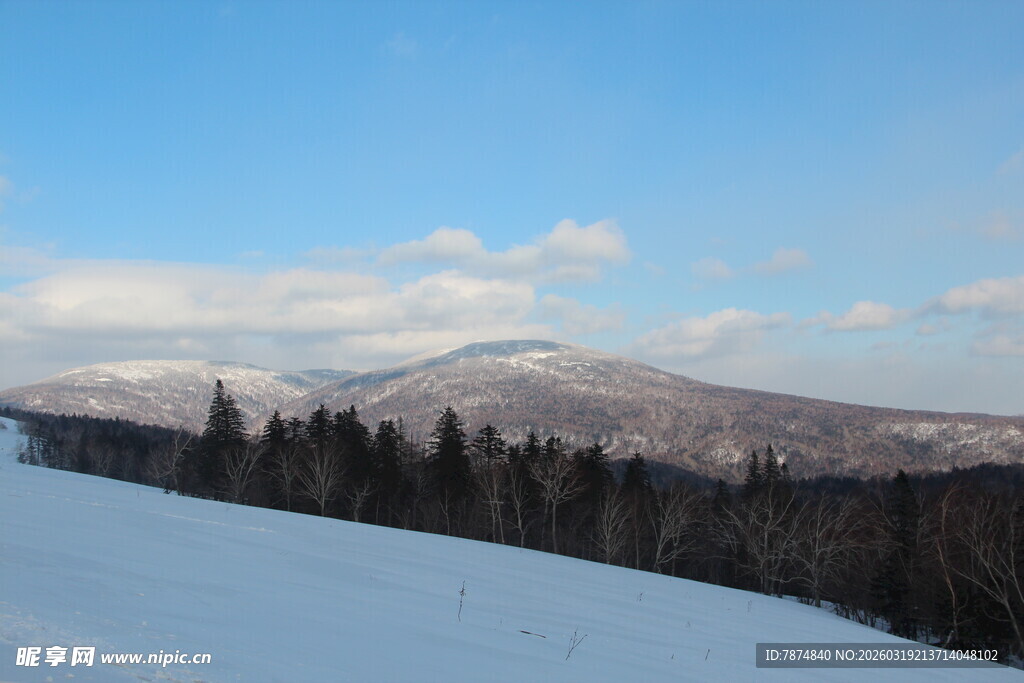 冬日雪岭山林美景