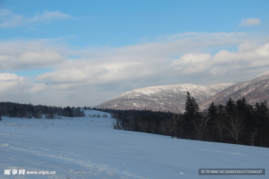 冬日雪野风景