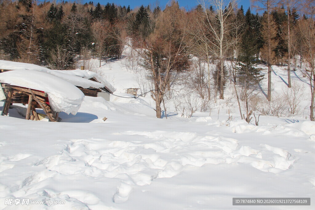 冬日雪覆乡村静谧景象