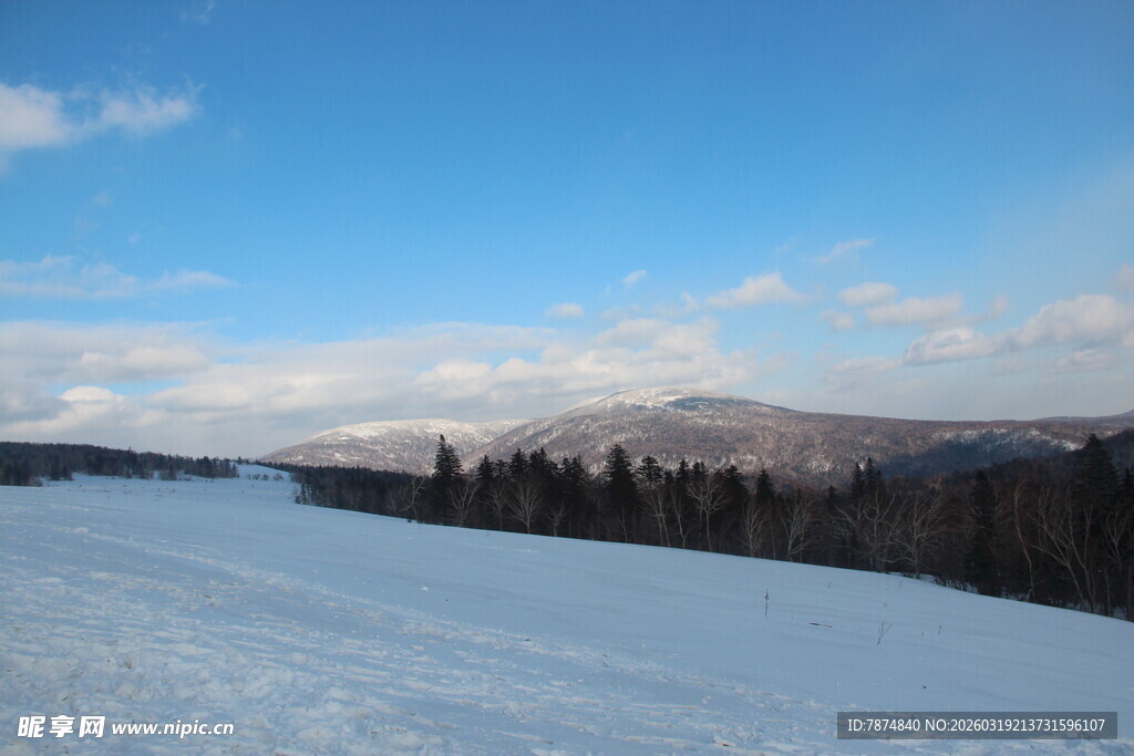 冬日雪野风景