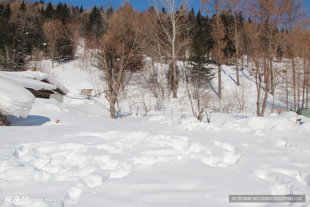 冬日雪景中的静谧村落