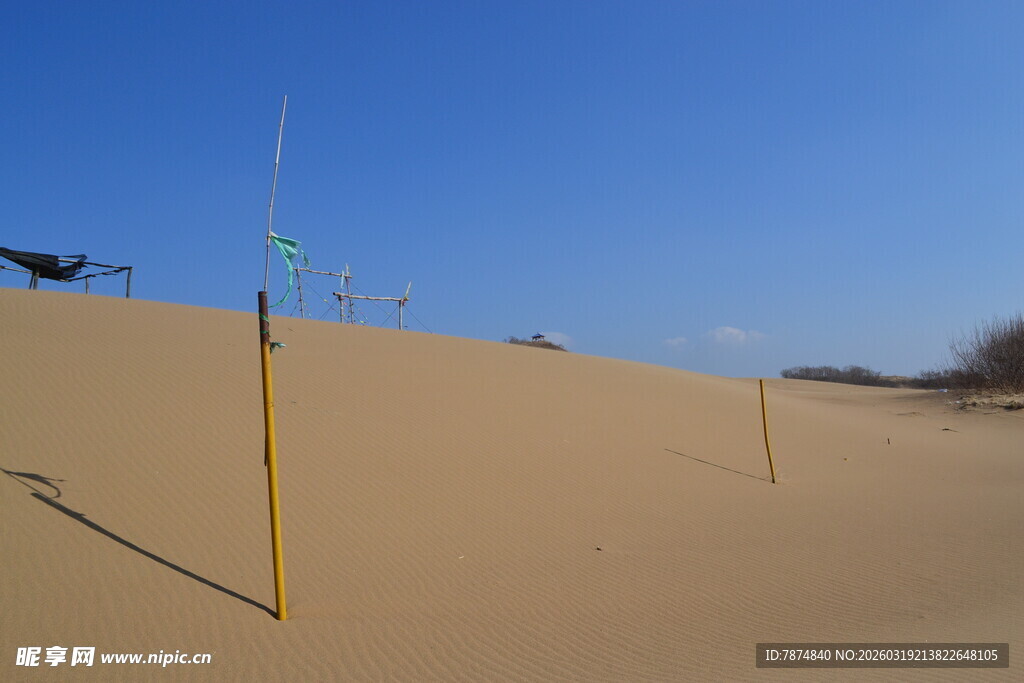 沙漠中的黄色标桩