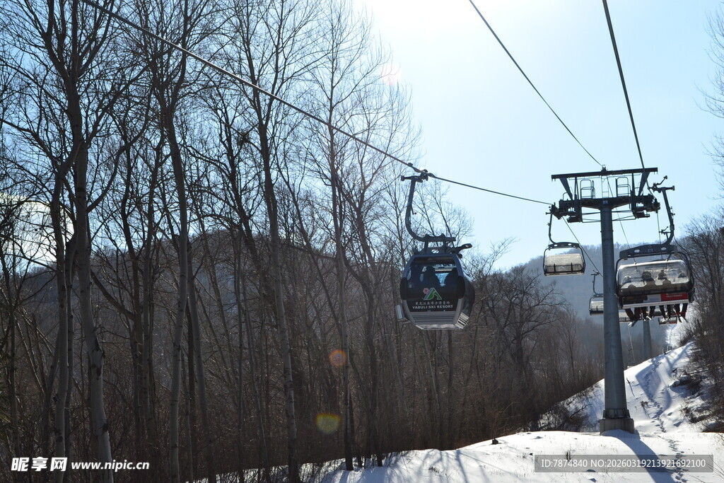 冬日缆车穿梭于树林间