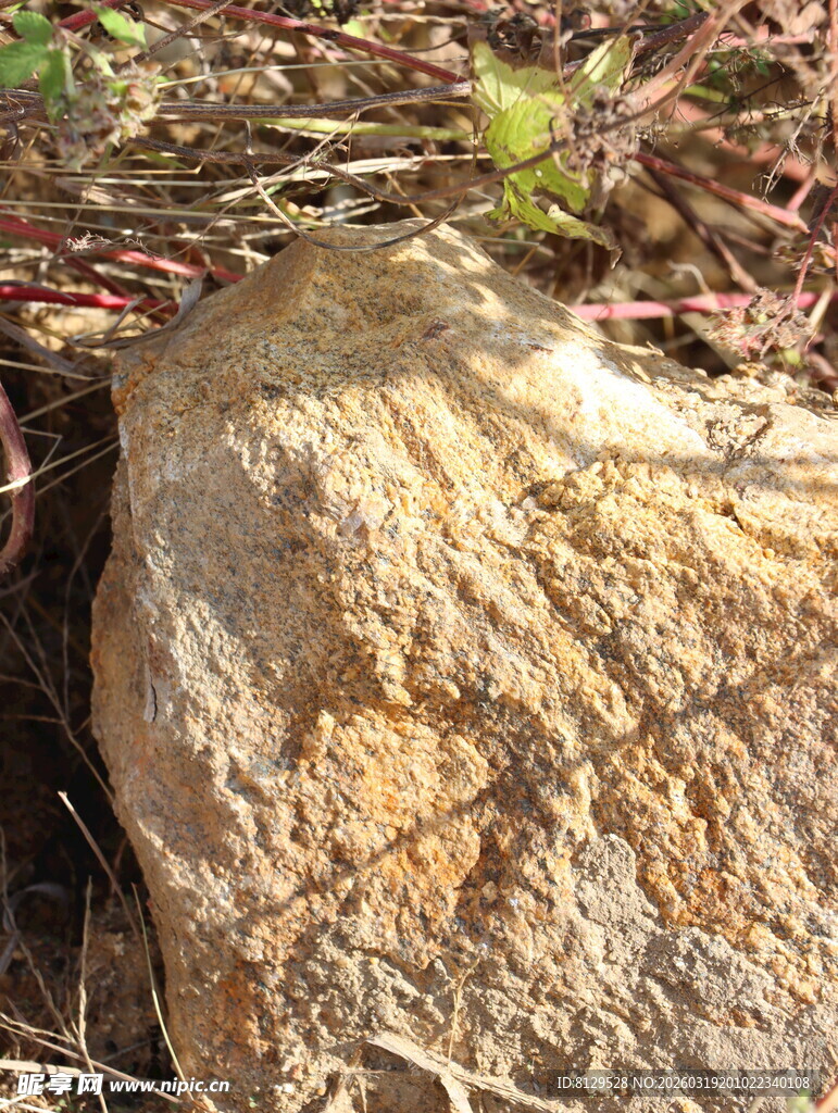 野外褐色岩石特写