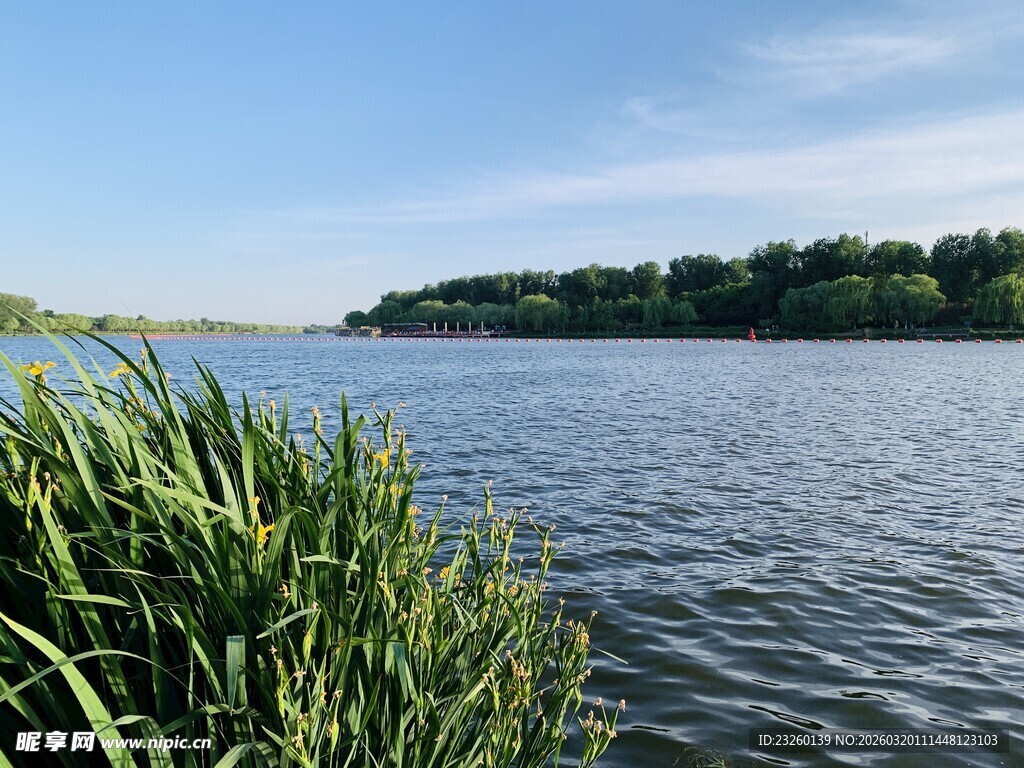 湖畔葱郁草木与宁静湖水