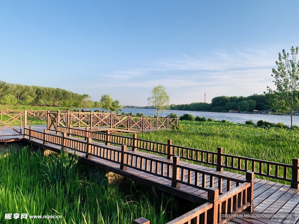 湖畔木栈道自然风光