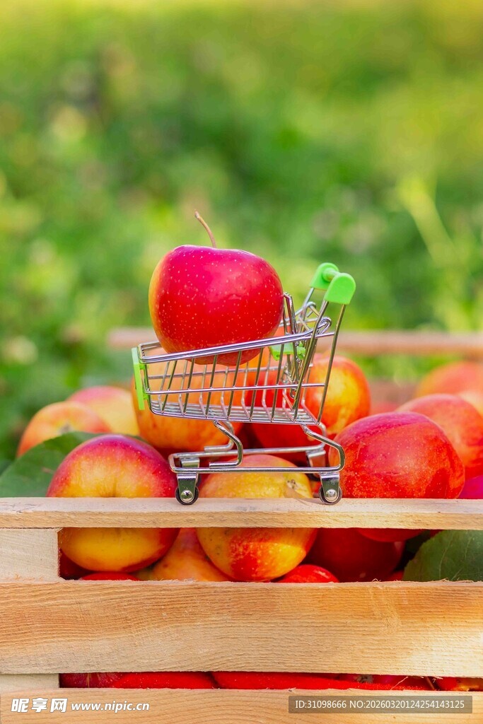购物车中苹果与桃子近景