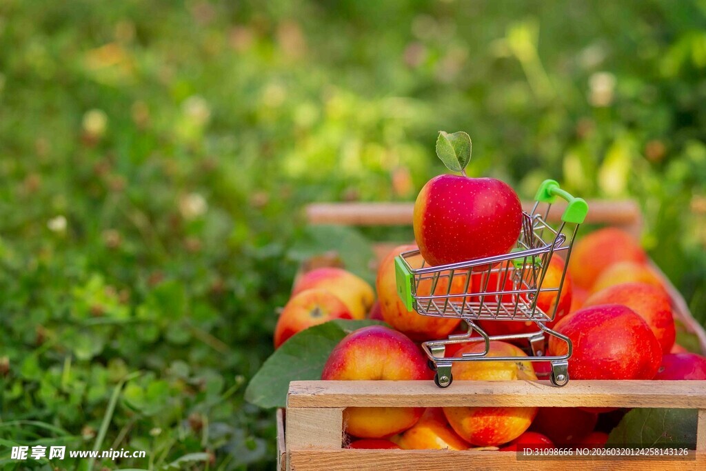 草地上的木盒与购物车苹果