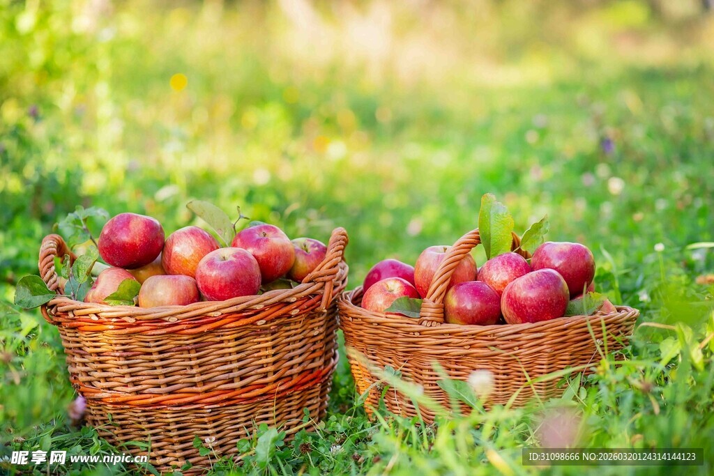 草地上的两篮红苹果