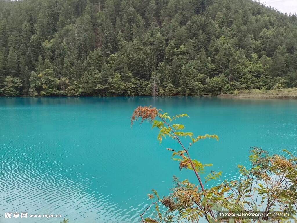 九寨沟 自然风光