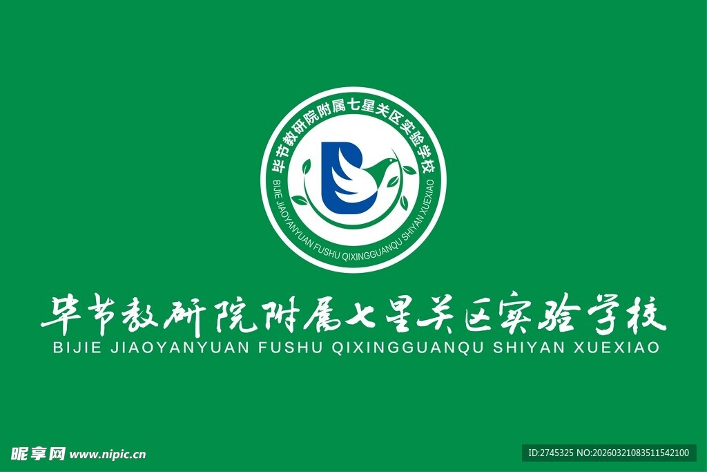 华北电科院附属实验学校班旗