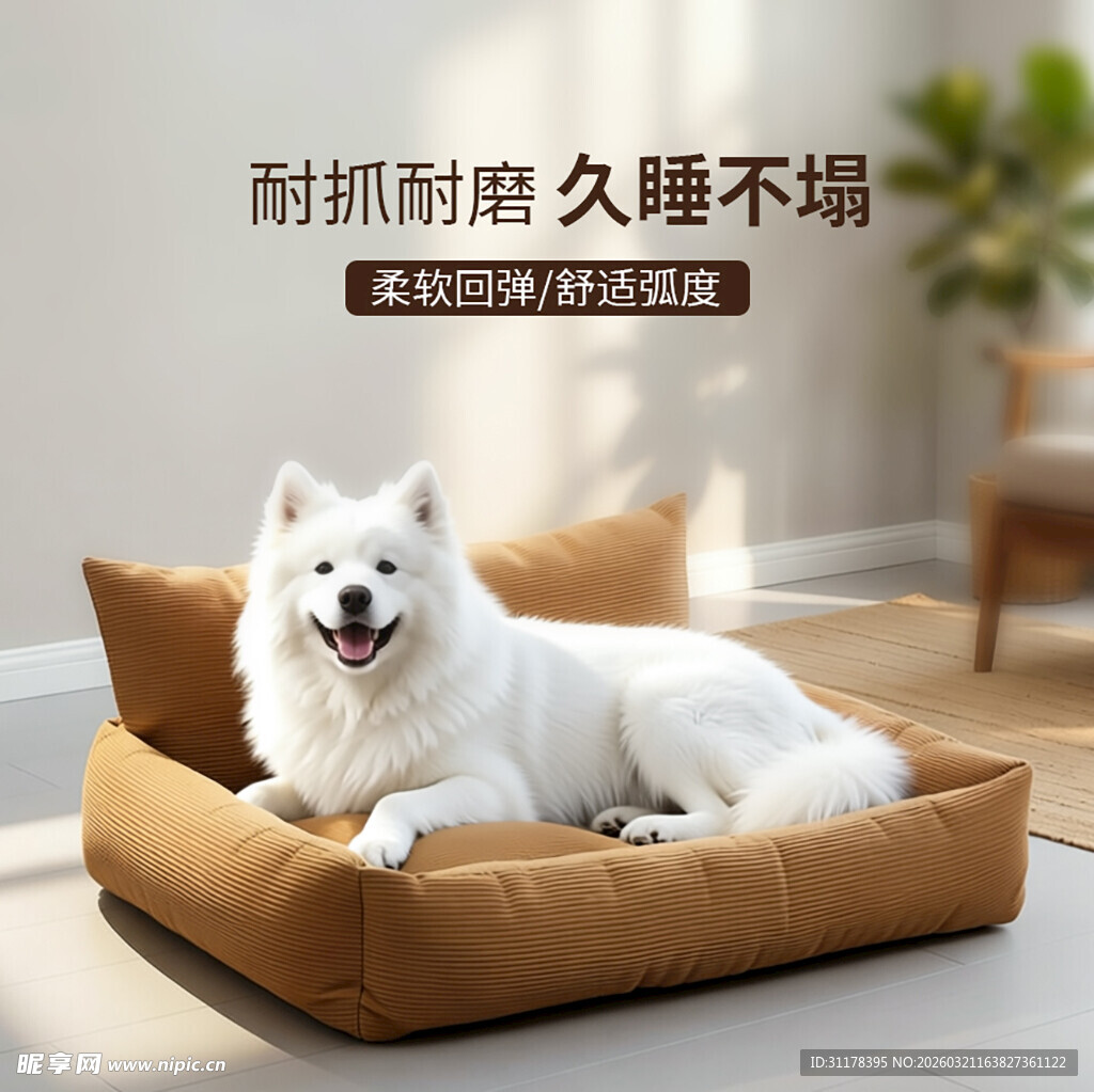舒适狗窝中惬意的萨摩耶