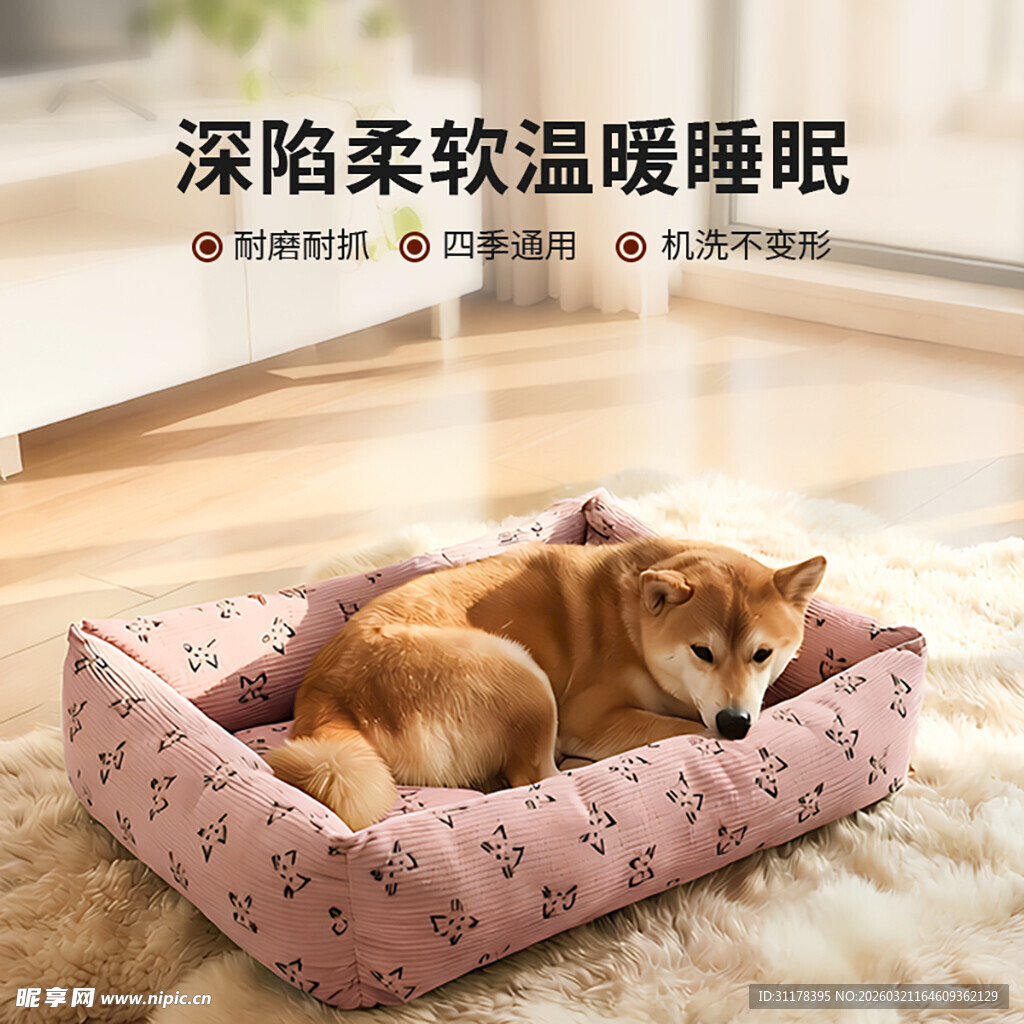 柴犬舒适窝中惬意沉睡